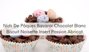 Nids De Pâques Bavaroi Chocolat Blanc Biscuit Noisette Insert Passion Abricot